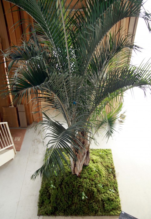 住みたい家に暮らす・展　2009