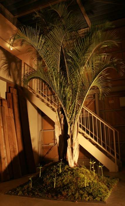住みたい家に暮らす・展　2009