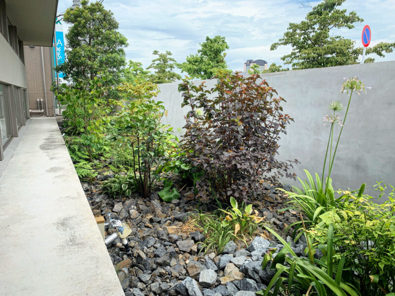 吉田歯科医院