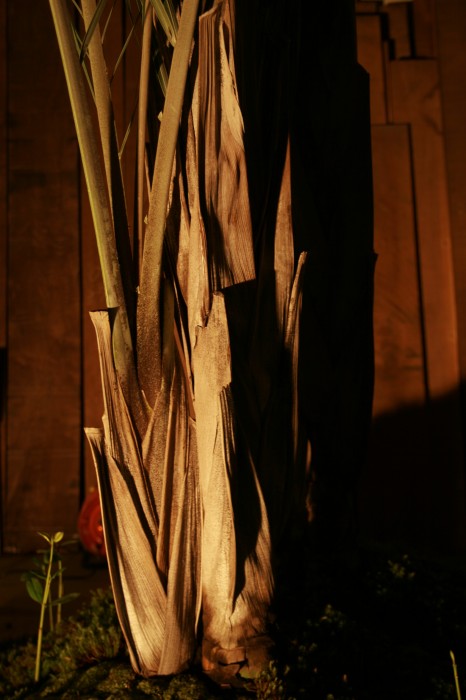 住みたい家に暮らす・展　2009