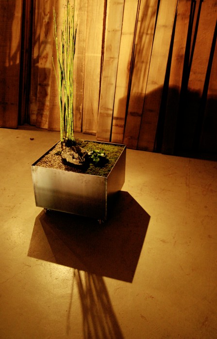 住みたい家に暮らす・展　2011