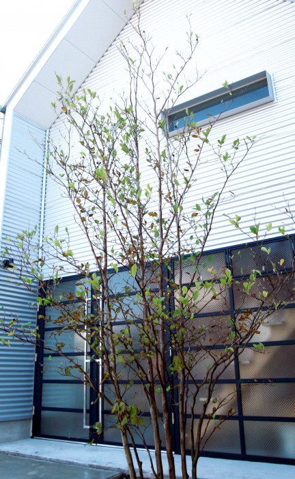 学園町ベース