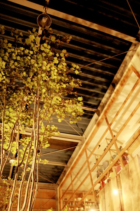 住みたい家に暮らす・展　2011