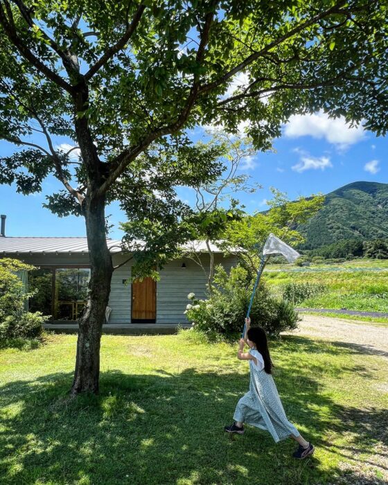 夏