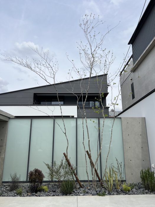 N HOUSE GARDEN